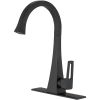 Single Handle Standard Kitchen Sink Faucet in Matte Black