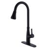 Single Handle Kitchen Sink Faucet with Pull Down Sprayer Matte Black