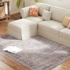 Machine Washable Area Rug 4x6, Non-Slip Traditional Flower Print Floor Carpet for Living Room, Bedroom, Grey and Brown