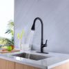 Single Handle Kitchen Sink Faucet with Pull Down Sprayer Matte Black