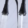 Single Handle Kitchen Sink Faucet with Pull Down Sprayer Matte Black