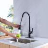 Single Handle Kitchen Sink Faucet with Pull Down Sprayer Matte Black