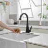 Single Handle Standard Kitchen Sink Faucet in Matte Black