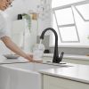 Single Handle Standard Kitchen Sink Faucet in Matte Black