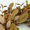 20-inch fall wreath adorned with brown magnolia leaves and small pomegranate berries, suitable for home, outdoor, farmhouse, porch, wall, and window d