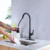 Single Handle Kitchen Sink Faucet with Pull Down Sprayer Matte Black