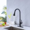 Single Handle Kitchen Sink Faucet with Pull Down Sprayer Matte Black
