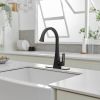 Single Handle Standard Kitchen Sink Faucet in Matte Black