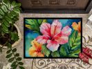 Hawaii Hawaiian Hibiscus in Watercolor Doormat Front Door Mat Indoor Outdoor Rugs for Entryway, Non Slip Washable Low Pile, 24H X 36W