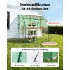 Walk-in Green House, 78 x 39.4 x 78.7 in, Greenhouse with Shelves, High Strength PE Cover with Zipper Door and Steel Frame, Assembly in Minutes, Suita