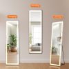3 Color Lighting Mirror with LED Lights, 64"x21" Lighted Floor Standing Mirror with Stand, Wall Mounted Hanging
