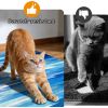 Three-piece kitchen rug set, non-slip and washable, abstract pattern kitchen hallway rug, soft and comfortable, suitable for sinks, floors, entrances,